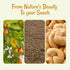 2 lb Packed Oh! Nuts Cashews Roasted Salted - - Oven Dry Roasted Cashews - in New York Zip-Seal Bag for Exceptional