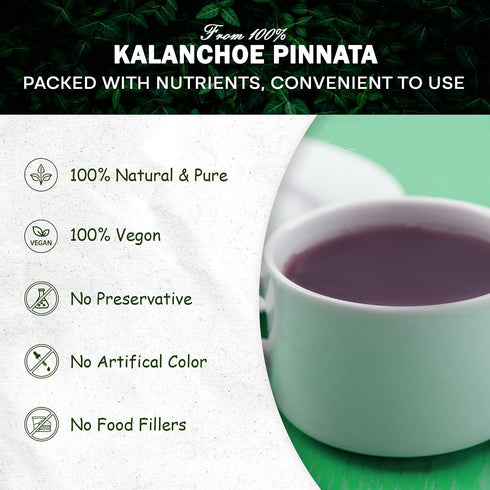 Generic 100% Kalanchoe Pinnata Leaves Powder Herbal Tea - Pure, Organic Ground Powder for Natural Use in Cooking