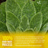 120 100% FreshDrinkUS, Premium Mullein Leaf Tea Bags For Lung, Natural & Pure from Mullein Leaves. Loose Leaf Mullein