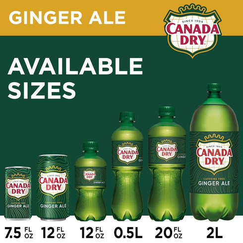 12 oz 12 pack Canada Dry Ginger Ale Soda, fl cans