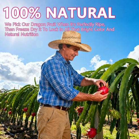 QZLGD 19.40Z/550g, Freeze-Dried Dragon Fruit, Freeze-Dried Fruit, Dragon Frui-t Snacks, No Sugar Added, for Drink