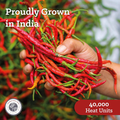 International Spice 10 lb Cayenne Pepper by