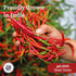 International Spice 10 lb Cayenne Pepper by