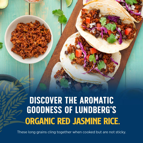 16 Oz (Pack 6) Lundberg Organic Red Jasmine Rice, Long Grain Red Rice - Non-Sticky, Fluffy Aromatic Rice, Organically