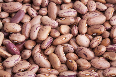 Hunza Natural Foods (2 lbs) Hunza Organic Cranberry Beans