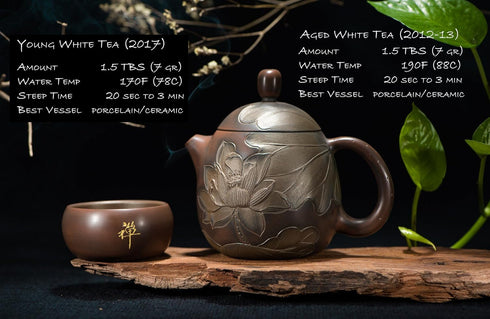 2017 Rare, Aged White Loose Leaf Tea - Bai Mu Dan style from Fujian, China