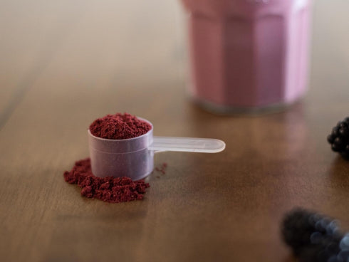 30 (1 1/4 KOYAH - Organic Blackberry Powder: Servings scoop = Cup Fresh): Freeze-dried, Whole-Berry Powder, Raw