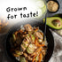 4Sisters 2lb - Authentic Short Grain Japonica Sushi Rice - Sustainably Grown - Women Owned - Farm to Table