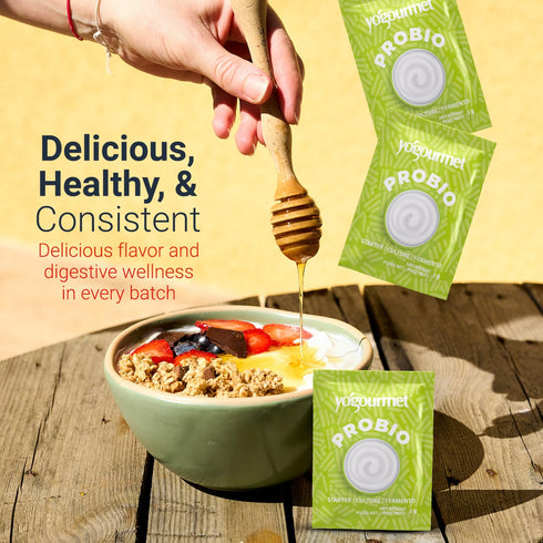 (12 Pack 3 Yogourmet Yogurt Starter With Probiotics Bulk Version) - Make Yogurt at Home - Starter Culture - All
