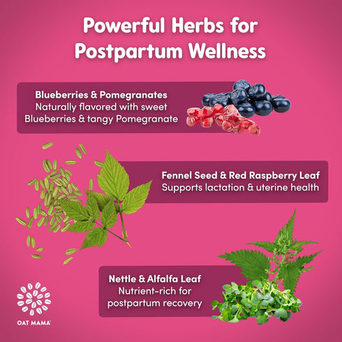 Oat Mama Lactation Tea for Breastfeeding Moms - Blueberry Pomegranate | Organic Lactation Support & Postpartum Recovery