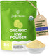 Jungle Powders Organic Kiwi Fruit Powder 5 Ounce Bag Freeze Dried Kiwi