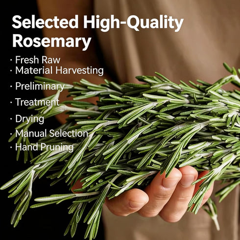 LWWTYKSPL 3.53oz 100g Premium Rosemary Sprigs, | All-Natural, Non-GMO for Cooking, Baking, Tea & Beverages | Culinary