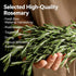 LWWTYKSPL 3.53oz 100g Premium Rosemary Sprigs, | All-Natural, Non-GMO for Cooking, Baking, Tea & Beverages | Culinary