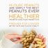 6 12 (72 pack) PASOKIN | Natural Peanut Butter Snack | Creamy PB Bites | Gourmet Mazapan, Kosher, Gluten Free, Vegan