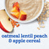 2 6PK Gerber Stage Baby Food, Oatmeal Lentil Peach & Apple Cereal, Baby Cereal