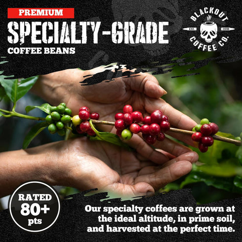 12oz Blackout Coffee Morning Reaper Ground Coffee Medium Roast, Bold & Strong Flavor Freshly Roasted Bag.