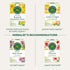 96 (Pack 6) Traditional Medicinals Tea, Organic EveryDay Detox Lemon, Supports Healthy Skin & Liver Function, Detox