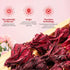 100% (1, Count, 100.0) Pure Premium Hibiscus Tea Organic Dried Hibiscus Flower Support Heart Health/Liver health/Blood