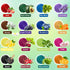 16 Slime-0.25fl oz Natural Food Coloring Gel - Colors Plant Based Dye Free Food Coloring, Liquid Natural Food Dye