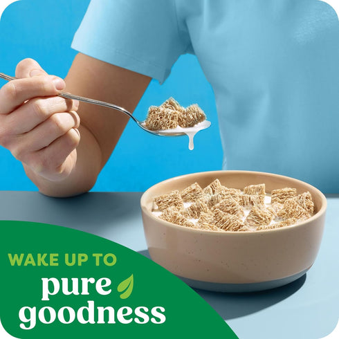 18oz (1 (Pack 2) Kashi Breakfast Cereal, Organic, Fiber Cereal, Island Vanilla, Box Box)