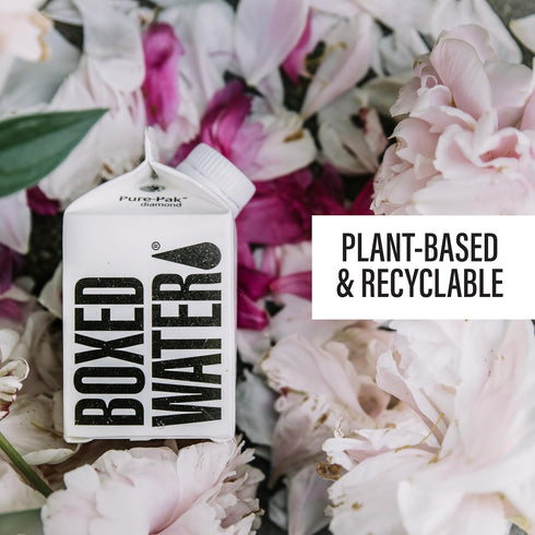 (8.4 oz., 24 Pack) Mini Boxed Water Better Than Premium Plastic Purified Drinking Water in Plant-Based Cartons