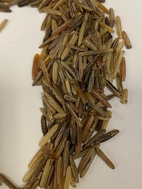 KC's Best Minnesota Cultivated Wild Rice - Gourmet Pantry Staple