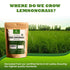 Organic Premium Grade Dried Lemongrass Cut, 2 oz/56g, Harvested from Organic Farm in Sri Lanka
