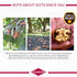 4 oz. (4 Pack) Diamond of California Himalayan Pink Salt Walnut Snack Nuts