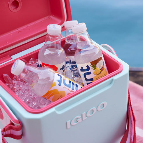16 Oz (Pack 12) Hint Flavored Bottled Water, Raspberry - Purified Water Beverages with Zero Calories, Natural Flavors