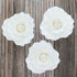 8 Count Global Sugar Art Aussie Rose White Sugar Cake Flower Large, by Chef Alan Tetreault