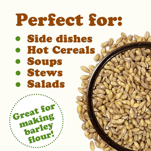 2 100% Food to Live Organic Hulled Barley, Pounds Non-GMO, Whole Grain, Kosher, Vegan, Bulk. Suited for Home Brewing