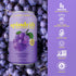 12 Pack Spindrift "Concord Freeze" Grape Soda Made With Real Squeezed Fruit Case