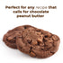 Betty Lou's 100% Organic Chocolate Peanut Butter Powder, Gluten Free, Vegan, Low Calorie, 6.35 Oz