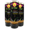 Bee Wild (Formerly Organic Mountains) Honey Connoisseur's Tasting Set - Sourwood Wildflower Tupelo