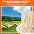'-12M/39ft,22-24mm Natural Sheep Sausage Casing,Edible Casings for Sausage Making,Grade A,Great for Snack Sticks,Italian