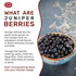 Spicy World 3.5 Juniper Berries Whole Ounce Bag- Pure - Great for Cooking, Drinks, Tea & More!