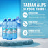 16.9 Oz (24-Pack) Sant'Anna Frizzante Sparkling Natural Mineral Water, Fl | Pure Italian Alps Mountain-Fresh Drinking
