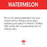 22 Oz (Pack 24) AriZona Watermelon Juice Cocktail - Big Can, Fl