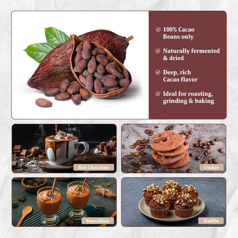 1 lb Cacao Beans Whole Raw Cacao Beans for Brewing, Snacking & Grinding Cocoa Beans Whole, Rich Cacao Flavor By Yogis