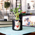 3 (1x 6" 2X 4" NW Wholesaler - Stalk Live Lucky Bamboo Plant - Stalk, - Stalks) - Live Indoor Houseplants for Home