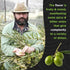 Tres Pontas 500 ml (500 ml) Cold Pressed, Hand Picked and Single Farm Sourced Extra Virgin Olive Oil