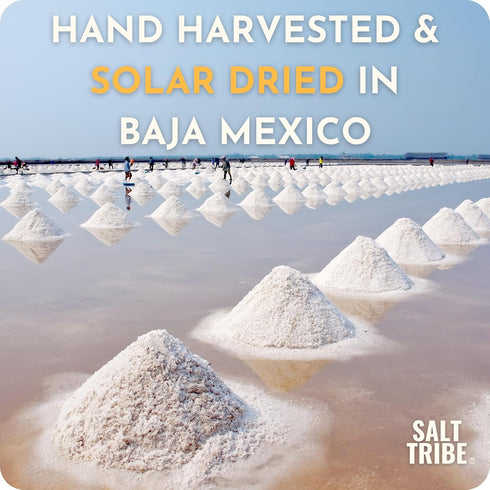 90+ 4 Salt Tribe | Baja Sea Salt | Mineral Rich | Trace Minerals | Fine Ground | Hydration Support | Sal Organica | Low
