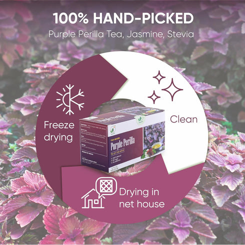 30 Count, 100% NMPT Dried Perilla Tea, Jasmine, Stevia, Hand Pick, Mixed Bags, Organic Herbal Tea, Gluten Free, Dairy