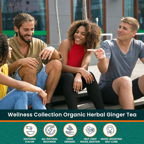 70 28 Count (Pack 1) Herbaly Wellness Collection Organic Herbal Ginger Tea, g, Bag