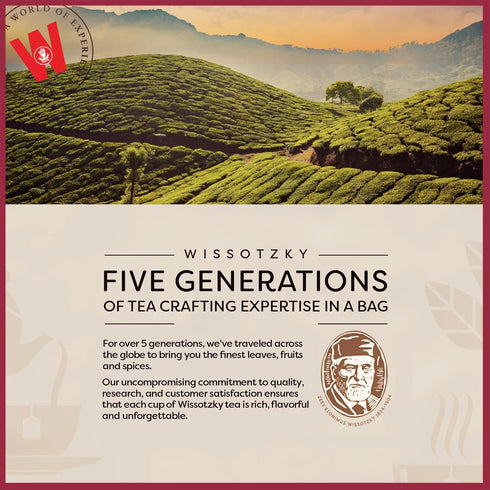 20 Wissotzky Cranberry Herbal Tea, Teabags | Refreshing Blend | Caffeine Free Tea | Antioxidant Rich