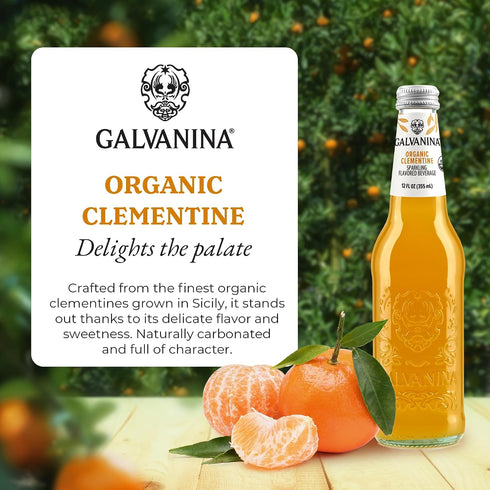 12 oz (6 Galvanina Clementine Premium Organic Italian Sparkling Soda, fl Glass Bottles) | Made with Organic