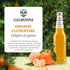 12 oz (6 Galvanina Clementine Premium Organic Italian Sparkling Soda, fl Glass Bottles) | Made with Organic