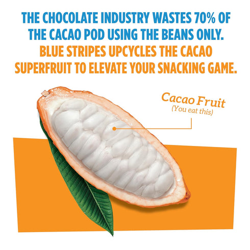 Gummies 100% Gummy, 9 3.2 oz (2 Pack) Blue Stripes Cacao Superfruit - Vegan Chewy Fruity Snack, No Sugar Added Fruit