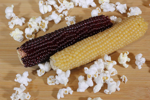 Amish Country Popcorn | Old Fashioned Microwave Popcorn | Non-GMO, Gluten Free, Microwaveable (White & Red Corn on the