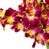 Generic 10 Fresh Cut Orchids Flowers Bouquet - PRIME QUALITY - Perfect for Weddings, Birthdays, Anniversaries, Gifts